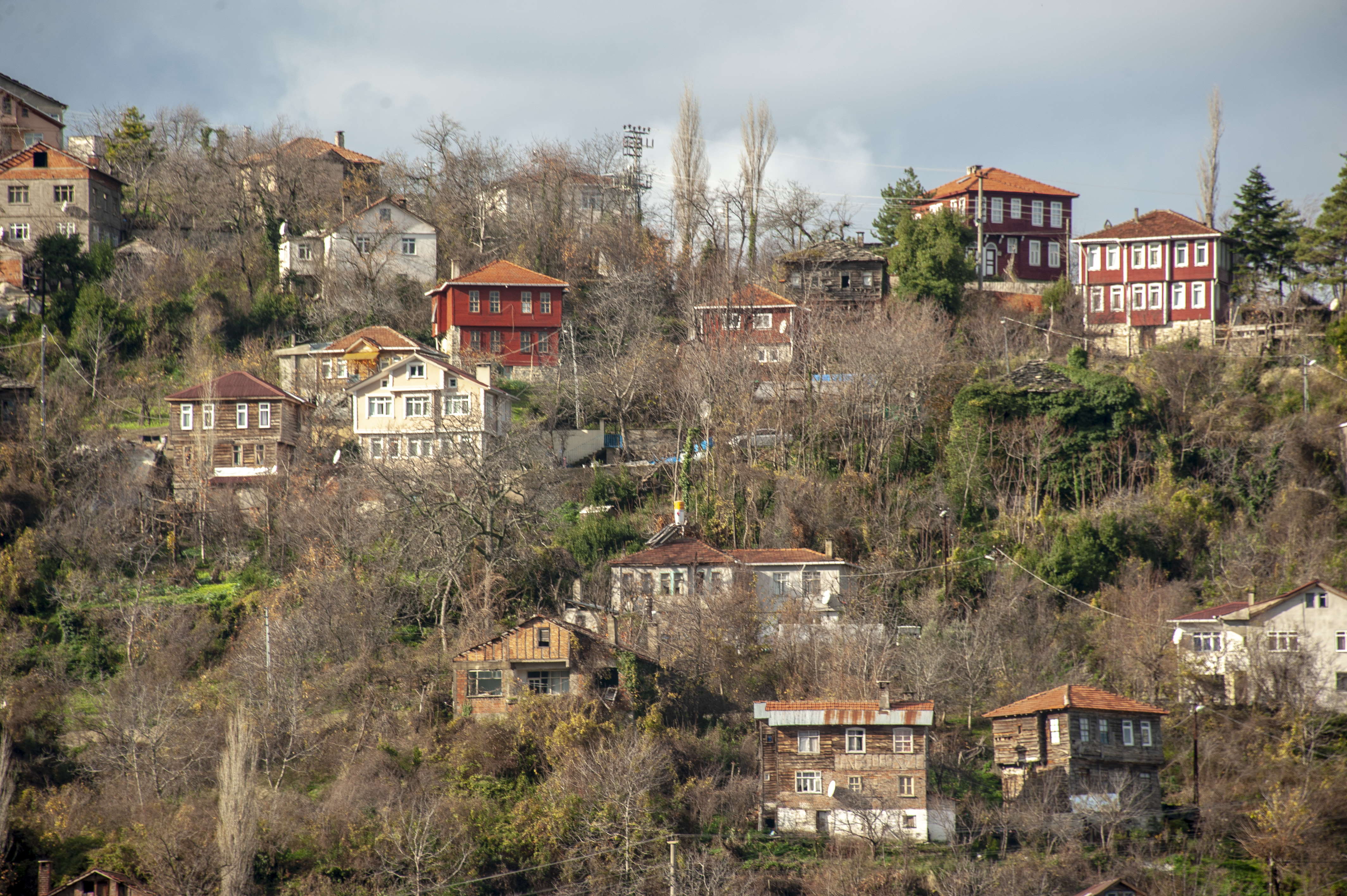 DSC2685