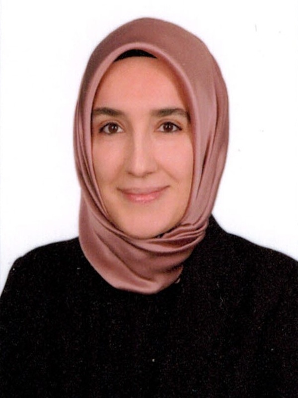 Dr. Öğr. Üyesi Serap DENİZMEN